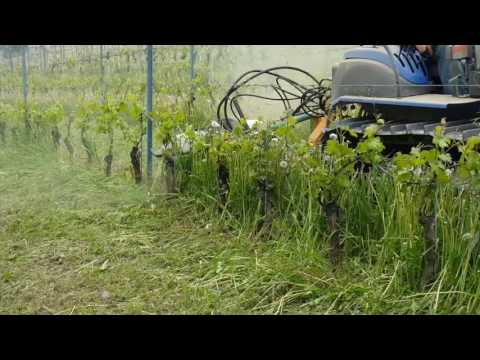 Dcespugliatrice per vigneto - Bruschcutter for vineyards