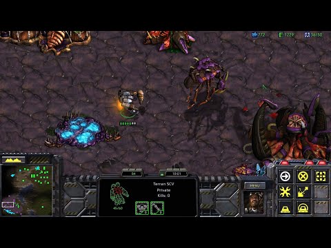 The Terrans kidnap Kerrigan's chrysalis