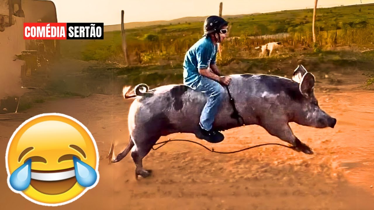 TENTE NÃO RIR: VÍDEOS ENGRAÇADOS 2025 E MEMES - #26