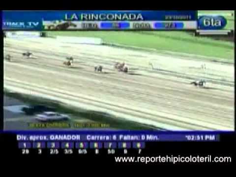 Resumen Domingo 23 de Octubre de 2011 - La Rinconada
