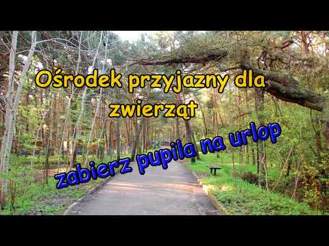 Wczasy w Ośrodku Wypoczynkowym w Międzywodziu