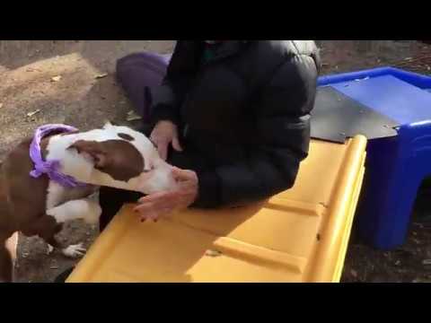 Sharina 11998 | Eager Lover