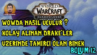 Detaylı Mount Rehberi l Binek Nasıl Alınır ? l En Kolay Alınan 4 Drake (WoW Shad