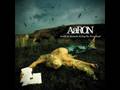 AaRON - Last Night Throughts.wmv