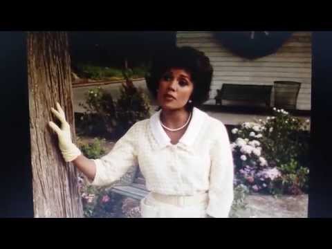 Let's Settle Down cover