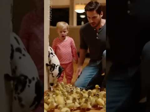 ella arrojó los patitos a la chimenea de la casa - Misión de rescate 🐕🐥#shorts