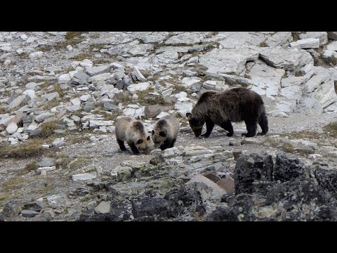 Triple Divide Pass 2023