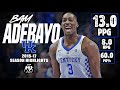 Bam Adebayo Kentucky Highlights (2016-17)