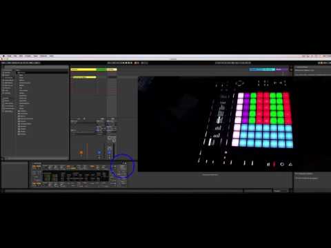 Neat Colorizer Chord Plugin for push other controlers