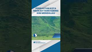 Tangkapan Satelit Terra Gurun Pasir di Arab Saudi yang Berubah Jadi Hijau, Tumbuh Tanaman