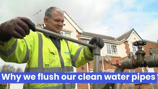 Why we flush our clean water pipes.