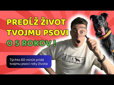 Nekŕm zviera, nakŕm priateľa