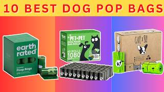 10 Best Dog Poop Bags 2026 (Under $25) | Day Deals