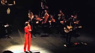 Hooverphonic - PBA (Charleroi) - 02 Dec 2012 - The Last Thing I need is you - 2 Wicky
