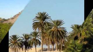 Joe Sample - Oasis.wmv