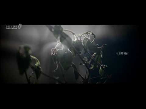 Sun Nan MV- "Honest" featuring Michelle Ye