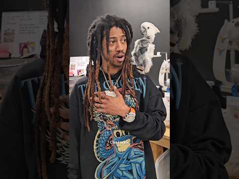 Rapper Lil Twist Reacts to Meeting A Cockatoo for the first time |🦜 CELEBRITIES REACT TO PARROTS