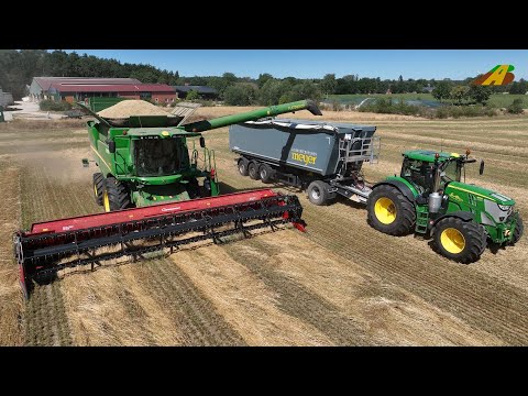 Grasernte  Gras dreschen Samen Saatgut Landwirtschaft Mähdrescher John Deere & Traktor Getreideernte