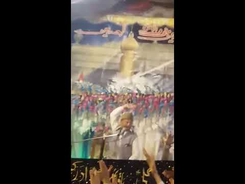 Allama Hafiz Tassaduq Hussain Jashan 4 Shaban 1438 hijri in Imamia Colony, Lahore