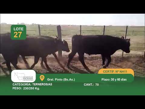 Lote M Y H - Gral Pinto Bs As