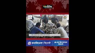 মধ্যরাত থেকে জাটকা ইলিশ শিকারে নি/ষেধাজ্ঞা শুরু l Patuakhali l Jhatka l Hilsha l Ban l Deepto News