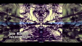 Meshuggah - Spasm [instrumental cover - reg3n]