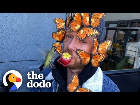 Man Creates Elaborate Hummingbird Feeder Costumes