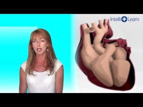 IntelliLearn BLS - 10. CPR