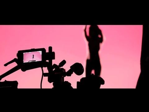predia - Paradise