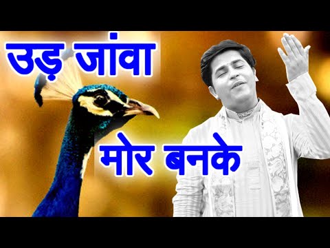 YouTube Fallback Thumbnail