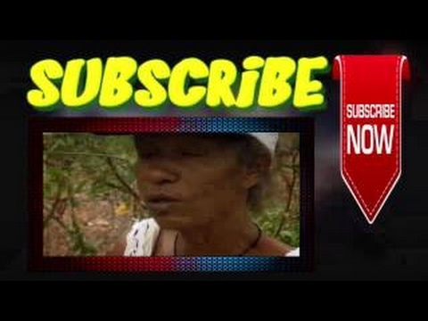 Ray Mears Goes Walkabout S01 E03 Torres Strait