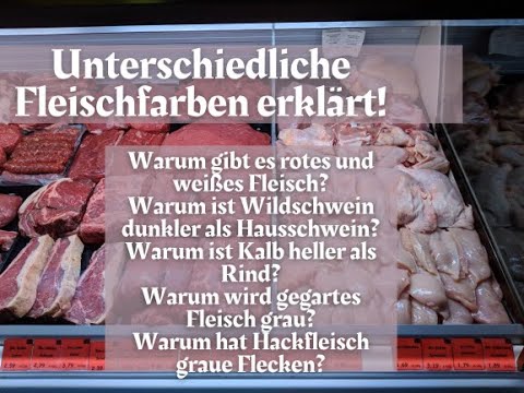 , title : 'Warum Fleisch vom Wildschwein dunkler als das vom Hausschwein ist? Fleischfarben erklärt!'