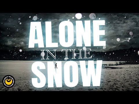 We Are The Empty - Alone In The Snow (Official 3D Lyric Video)