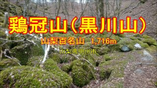 [ ぶらぶら山歩き ]　黒川鶏冠山（山梨百名山）