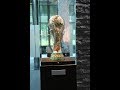 Fans' Testosterone Levels During the World Cup (THE SAAD TRUTH_691) Fans' Testosterone Levels During the World Cup (THE SAAD TRUTH_691)