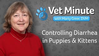 Vet Minute: Controlling Diarrhea in Puppies and Kittens