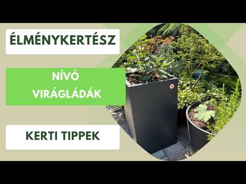 Virágláda bárhova a kertbe!🏡 Nívó virágládák