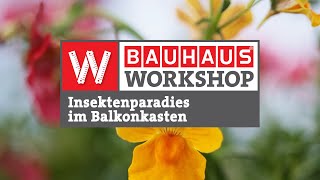 Insektenfreundliche Pflanzen für Balkonkästen [Experten-Tipps] | BAUHAUS Workshop