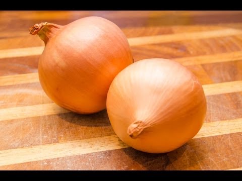download lagu mp3 mp4 How To Prepare An Onion, download lagu How To Prepare An Onion gratis, unduh video klip How To Prepare An Onion
