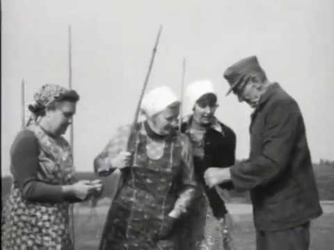 Bäuerliche Flachskultur - 2. Streffen, Dreschen, Rezen (Kurzfassung)