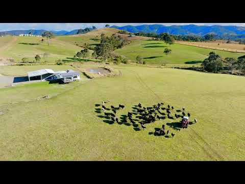 1954 Willina Road, Bunyah, NSW 2429, 1 Kuwarto, 1 Banyo, Lifestyle Property