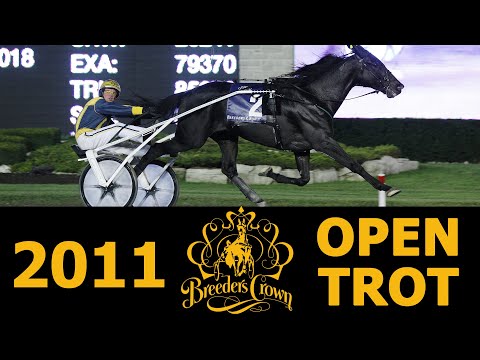 2011 Breeders Crown - San Pail - Open Trot