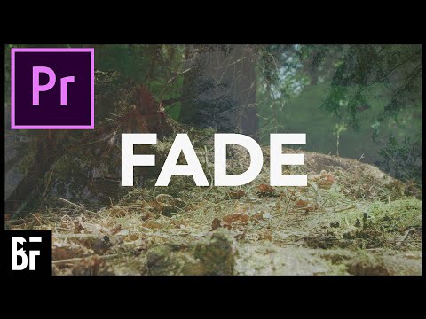 5 EASY Text Effects in Adobe Premiere Pro 2024