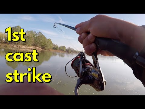 ASP FISHING - STRIKE AT THE FIRST CAST! - Aspio a spinning sul fiume Po