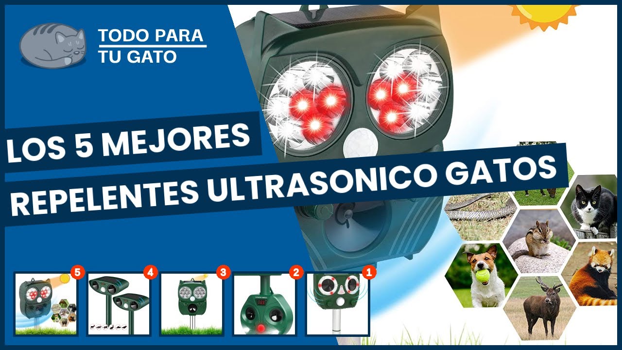 Los 5 mejores repelentes ultrasonico gatos