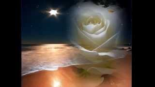 Marry me Jane- You didn't kiss Me