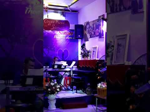 Vô tình - Phạm Trọng Tuấn