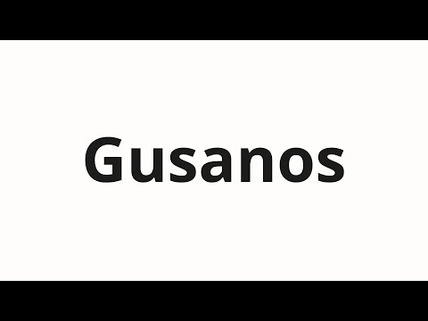 How to pronounce Gusanos