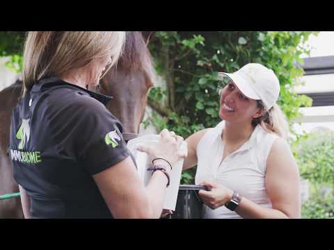 Beyond the Pines Studios & Productions video.