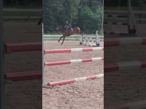 Hoppis - Loviisa 3.6.2018